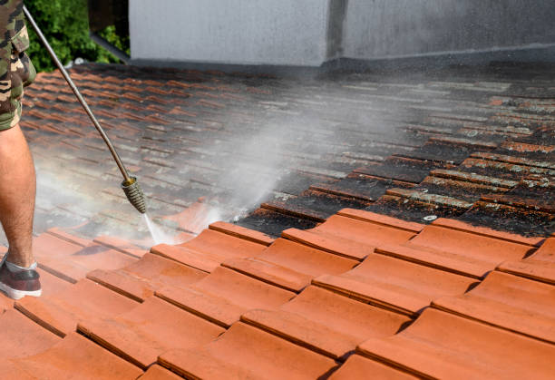 Best Best Pressure Washing Companies  in Bellflower, CA